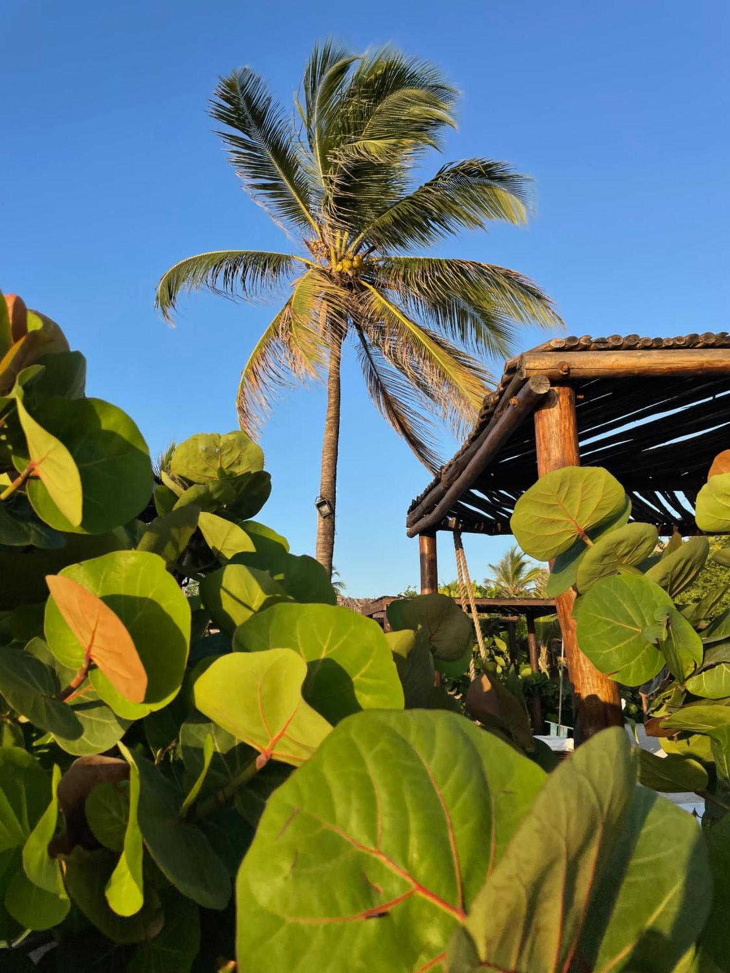Namaste Beach Club & Hotel Playa de Punta Arena ภายนอก รูปภาพ